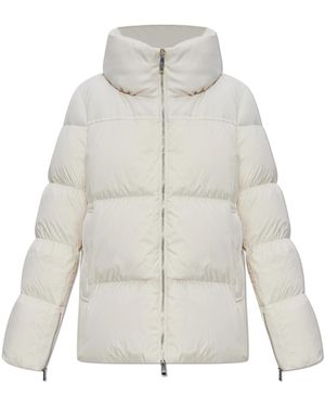 Add Down Jackets - Gris