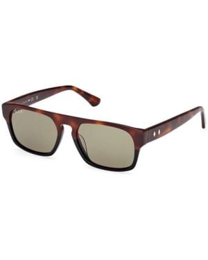 WEB EYEWEAR Sunglasses - Marrone