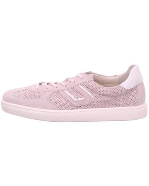 Gabor Sneakers - Pink