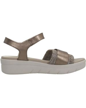 Stonefly Wedges - Gris