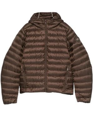 Canada Goose Winter Jackets - Brown