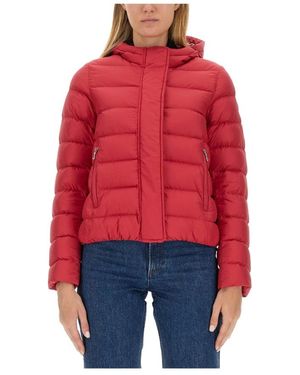 Colmar Jassen ,Roze ,Polyester Logo Jacket - Rood