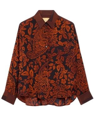 Momoní Shirts - Marron