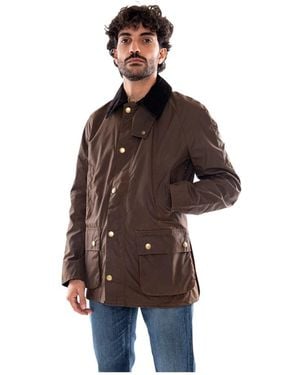 Barbour Jassen ,Bruin ,Katoen Ashby Wax Jacket