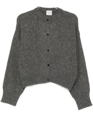 Alysi Truien & Vesten ,Grijs ,Nylon Zijde & Nylon Grijze Trui