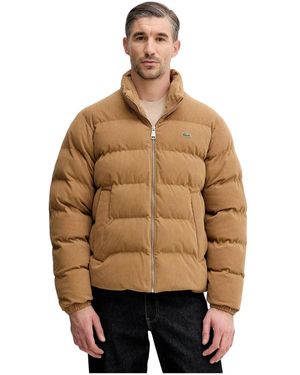 Lacoste Gewatteerde Velours Puffer Jas - Bruin