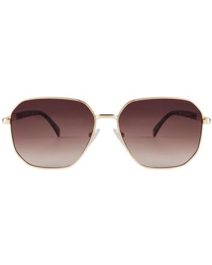 L37 Gamma Sonnenbrille - Braun