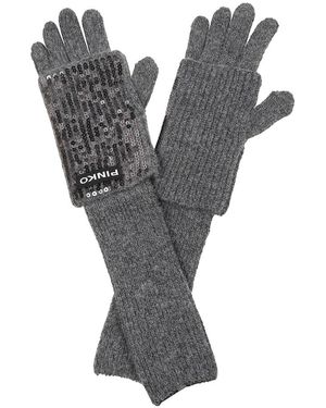 Pinko Accessoires ,Grijs ,Gardenia Handschoenen