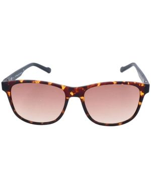 adidas Bicolour Acetate Sunglasses - Pink