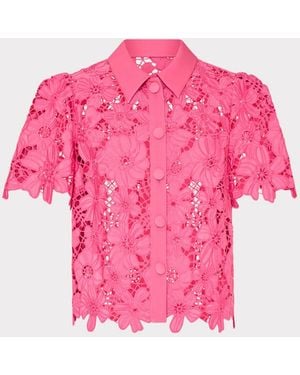 MILLY Addison Roja Lace Top - Pink