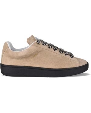 Lanvin Suede Lite Curb Trainers - Multicolour