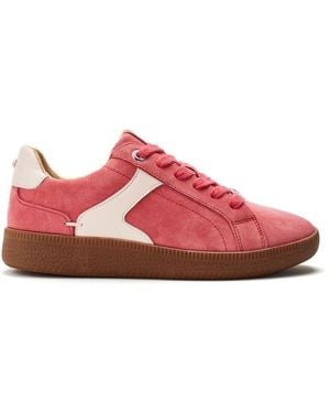 Moda In Pelle Allette Coral Suede - Pink