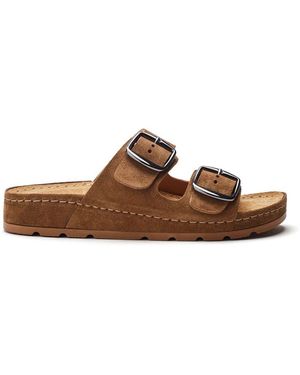 Shoon Sh Elate Suede - Brown