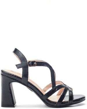 Moda In Pelle Missani Snake Print - Blue