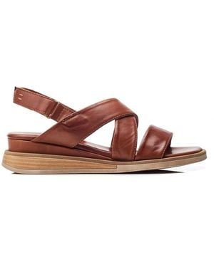Shoon Sh Iranna Leather - Brown
