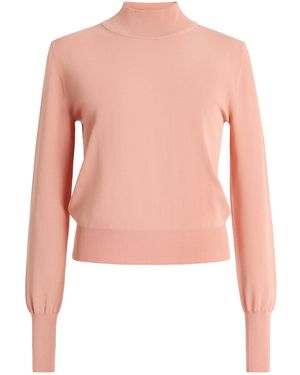 Sanderlak Knit Mockneck Sweater - Pink