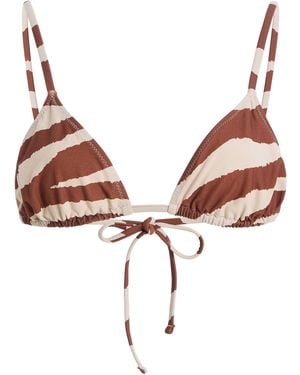 Tropic of C Equator Bikini Top - Brown