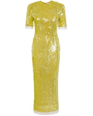 Rachel Gilbert Kaia Squined Tulle Maxi Dress - Yellow