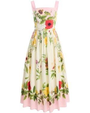 Oscar de la Renta Scarf-Printed Stretch Cotton-Poplin Midi Dress - White