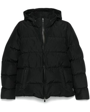 Herno Coats & Jackets - Black