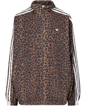 adidas Jumpers - Brown