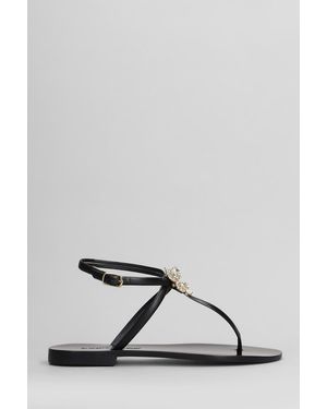 EDDICUOMO Flats - Black