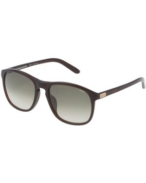 Lozza Sunglasses - Metallic