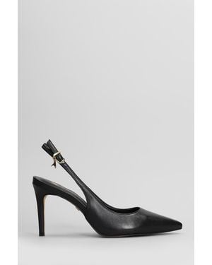 Carrano Pumps - Black