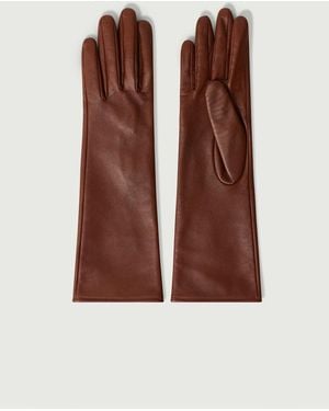 Soeur Belleville Accessories - Brown