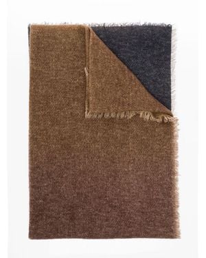 Faliero Sarti Fariba Cashmere And Wool Scarf - Brown