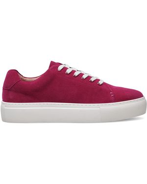 Sergio Bardi Sneakers Aus Stoff Wi32-D1080-01Sb - Lila