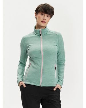 CMP Technisches Sweatshirt 30E9686 Grün Regular Fit
