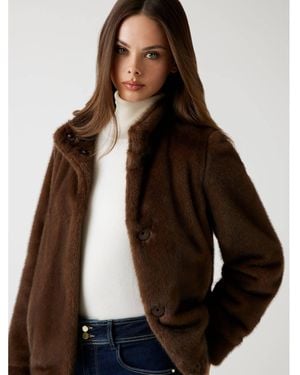 Guess Übergangsjacke 179847 Classic Fit - Braun