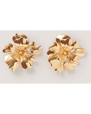 Monsoon Large Flower Stud Earrings - Metallic