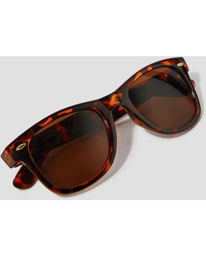 Monsoon Wayfarer Sunglasses Brown