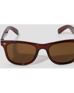 Monsoon Wayfarer Sunglasses - Brown