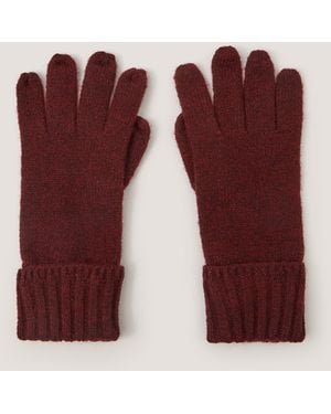 Monsoon Aster Knitted Gloves Red - Purple