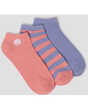 Monsoon 3-pack Shell Stripe Trainer Socks - Pink