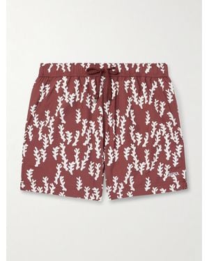 ZEGNA Shorts Da Mare Medi A Gamba Dritta Stampati Rametto Dell'Oasi - Rosso