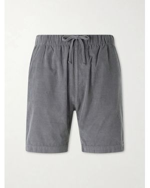 Hartford Straight-Leg Cotton-Corduroy Shorts - Blue