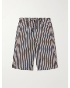 Dries Van Noten Piperi Straight-Leg Striped Cotton Shorts - Brown