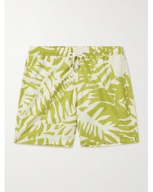 MR P. Straight-Leg Mid-Length Irregular Botanical Printed Recycled Swim Shorts - Metallizzato