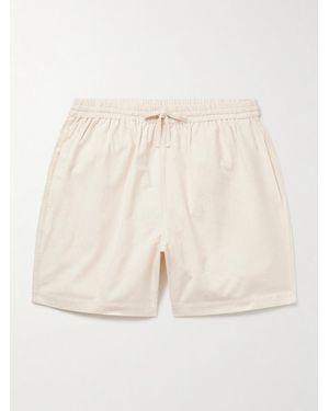 Kardo Shorts A Gamba Dritta - Neutro