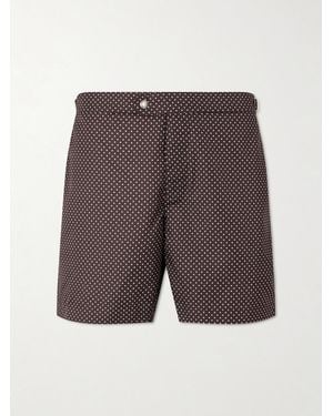 MR P. Straight-Leg Polka-Dot Swim Shorts - Grey
