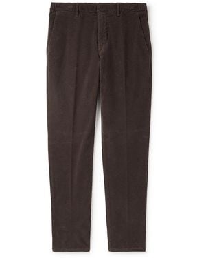 Altea Dumbo Straight-leg Stretch-cotton Corduroy Pants - Brown