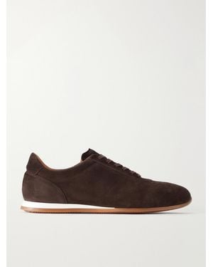 MR P. Suede Sneakers - Braun