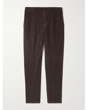 Altea Dumbo Straight-leg Stretch-cotton Corduroy Trousers - Brown