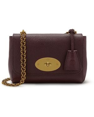 Mulberry Lily Oxblood - Brown