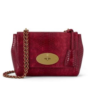 Mulberry Lily Apple - Red
