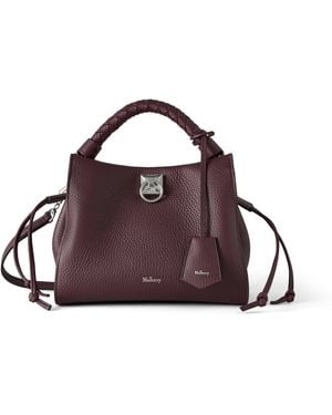 Mulberry Small Iris Cherry - Purple